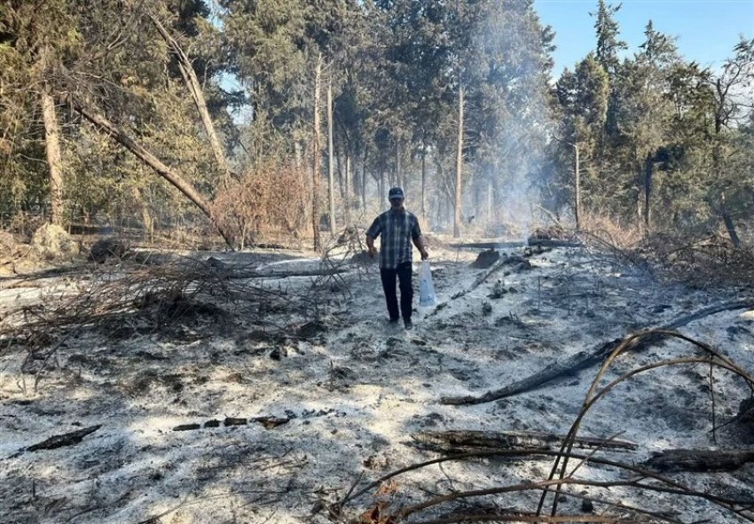 مهار آتش الیت/ هیچ شعله آتشی دیگر از جنگل‌های الیت زبانه نمی‌کشد